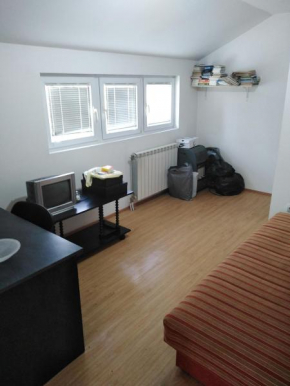 Zvezdarski apartman